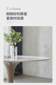 丹麦伊莫拉扶手谈判桌椅套装咖啡客厅大厅酒店办公室 - Product Image 5