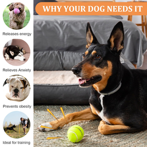 Pelota de Tenis para Perros con Logotipo Personalizado, Alta Elasticidad, Colorida, Fácil de Atrapar, Pelota de Juego para Mascotas, para Masticar y Perseguir, 2.5 Pulgadas - Product Image 2