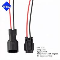 Conectores de Cableado Eléctrico Personalizados, Conector de Cableado Automotriz 1P/2P/3P/4P/6P/8P/12P/14P/16P con Cables