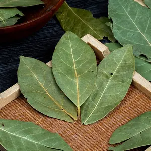 Épices en feuille de laurier en gros de qualité supérieure Feuilles de laurier Épices culinaires gastronomiques pures Herbes Produits