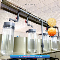 Incubateur d'œufs de truite et de saumon 10 pots Plug and Play pour bassin à poissons, pour l'élevage de carpes Koï et de tilapias