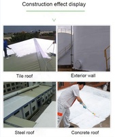 Peinture de revêtement de toiture liquide à base d'acrylique résistant à la chaleur avec protection anti-UV Application au pinceau