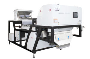 Máquina clasificadora óptica para habas, café fresco, almendras, nueces, chips de ajo, clasificador de forma de cámara de visión - Product Image 2