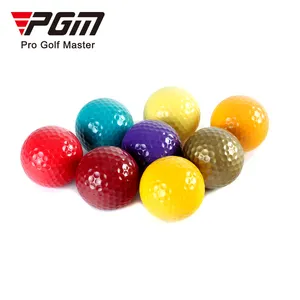 PGM toptan fiyat hafif kapalı kullanım uygulama pantone renk 2 layer golf topu