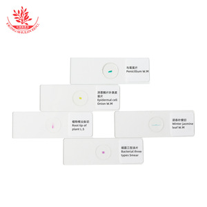 Los preparados microscópicos se utilizan en experimentos de biología en el instituto para que los estudiantes observen las estructuras básicas de los tejidos. - Product Image 1