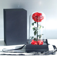 Fleurs de roses éternelles roses préservées pour toujours dans un dôme en verre avec LED pour la fête des mères, Noël ou la Saint-Valentin, forme ronde