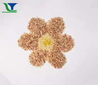 Nouvelle ligne de production de riz enrichi, ligne de production de riz nutritionnel artificiel, acier inoxydable 304, automatique