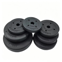 Poids de musculation en gros pas cher, multi-gym, 2,5 kg/5 kg/7,5 kg/10 kg/15 kg, plaques de poids pour salle de sport, plaques de poids en PVC, plastique