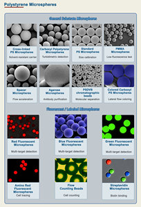 Perlas magnéticas aminoácidas de 1 µm se unen por enlace covalente con biomoléculas como péptidos, proteínas, anticuerpos y oligonucleótidos. - Product Image 2