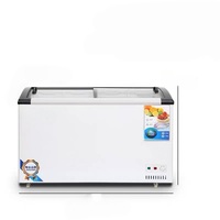 Freezer Display Dingin Terbaik 1000 Liter, Freezer Besar untuk Peralatan Dapur, Kulkas Freezer Komersial