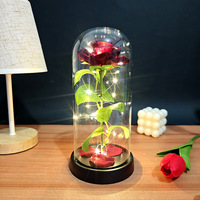 Décoration Lumineuse en Verre Rose Simulée, Fleur Éternelle pour Anniversaire, Cadeau de Tanabata, Saint-Valentin, Fête des Mères, Créatif, Transfrontalier