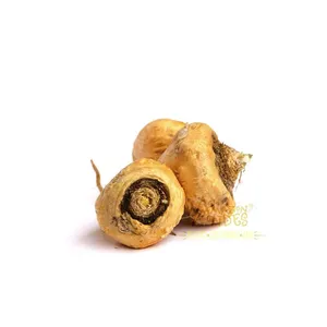 Maca Bột Gelinized Lepidium Meyenii Hữu Cơ Có Sẵn Từ Peru