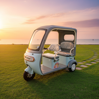 Tricycle électrique très économique, véhicule de loisirs et de déplacement quotidien, idéal pour le shopping, la récupération des enfants et l'utilisation familiale