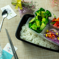 Boîte Bento Portable Jetable à 3 Compartiments pour Nouilles, Aliments pour Animaux, Repas d'Avion et Stockage Alimentaire