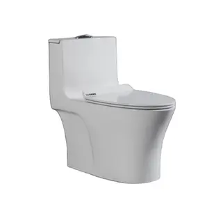 Factory One Piece Toilet with Geberit or R&T Flush Valve Soft Closing Seat Cover Ramp Down Closer Water Closet Toilet Bowl China