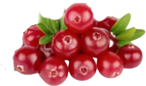 창고 하이 퀄리티 식품 학년 유럽 월귤 나무속 추출물 10% 25% 순수 안토시아닌 분말 - Product Image 3