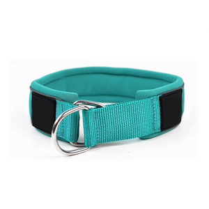 <span class=keywords><strong>Collar</strong></span> de Perro <span class=keywords><strong>Martingale</strong></span> Acolchado de Espuma de Nailon Suave de Lujo Personalizado de <span class=keywords><strong>2</strong></span> Pulgadas con Franjas Reflectantes - Product Image 4
