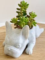 Nouveauté : Joli pot à succulentes en forme de chien, ornement artisanal en résine, mini pot de fleurs pour la décoration de la maison, du jardin et du bureau