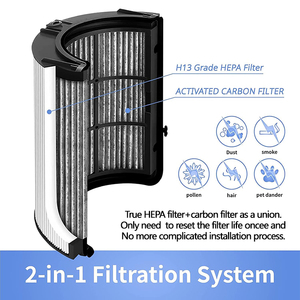 Remplacement du <span class=keywords><strong>filtre</strong></span> <span class=keywords><strong>HEPA</strong></span> du purificateur d'air au <span class=keywords><strong>charbon</strong></span> <span class=keywords><strong>actif</strong></span> véritable pour les modèles <span class=keywords><strong>Dyson</strong></span> PH01 PH02 PH03 PH04 HP06 HP09 pour un usage domestique - Product Image 6