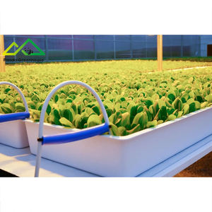 Sistema Hidropónico Avanzado de Gran Escala con Estructura de Acero Galvanizado por Inmersión en Caliente, Invernadero Combinado para Plantación, para una Aumento Exponencial de la Rentabilidad - Product Image 5
