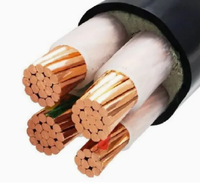 Câble d'alimentation souterrain 3/4/5 conducteurs 16mm 25mm 35mm 95mm 5x50 70 mm² en cuivre XLPE/PVC YJV blindé en acier/à bande IP65 0.6/1KV