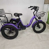 2025 Vente en gros transfrontalière MGN001 Tricycle chariot de courses à pneus larges de 20 pouces avec moteur avant à assistance électrique au lithium
