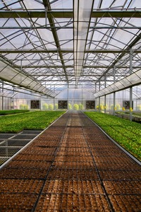 Serre en verre multi-voûtes Skyplant avec ventilation automatique puissante du toit et rideaux latéraux pour un refroidissement efficace dans les régions chaudes - Product Image 5