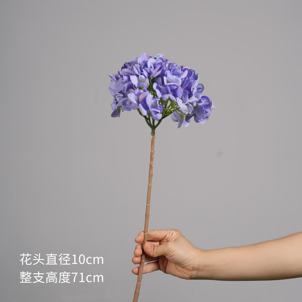 bleu clair