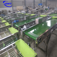 Kleine fruit sorteermachine, fruit- en groentesorteermachine
