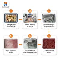 Installatie voor granaatappelverwerking, capaciteit 1-3T/H, inclusief was-, zaadverwijderings- en sap-slagseparatie.