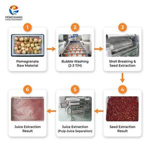 Línea de Equipos para el Procesamiento de Granada para Uso Industrial 1-3T/H: Lavado, Desgranado, Prensado de Jugo y Separación de Jugo-Pomada - Product Image 3