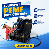 Appareil de thérapie PEMF vétérinaire de haute qualité et pratique, améliore l'élasticité musculaire, appareil PEMF pour clinique vétérinaire
