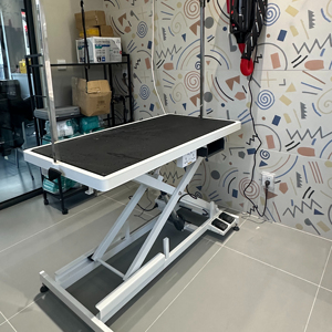 Mesa <span class=keywords><strong>De</strong></span> Aseo Para Mascotas Receptáculos Carga Instalada 150 kg Elevador <span class=keywords><strong>El</strong></span>éctrico Grande Para Mascotas Mesa <span class=keywords><strong>De</strong></span> Exhibición <span class=keywords><strong>De</strong></span> Aseo - Product Image 1