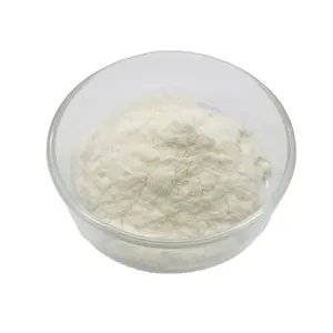Organic Certificate Sea Cucumber Protein 60% Powder