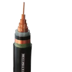 10KV High Voltage Cable YJV62 Single Core Copper Wire 25/35/70/95120/240 Square 35KV Armored High Voltage Cable Line