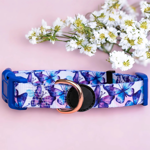 Collar de Perro de Nailon Poliéster Resistente Personalizado con Hebilla de Liberación Rápida y Anillo en D Soldado, Collar Ajustable Resistente para Mascotas para Uso Diario - Product Image 1