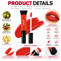 RTS Rouge à lèvres liquide mat velours 10 ml, imperméable, longue tenue, résistant au transfert, faible MOQ 1 pièce, vente en gros, logo personnalisé