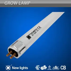 곤충 함정을 위한 T8 까만 빛 BL Blacklight 램프