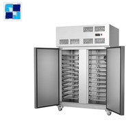 Congélateurs industriels et réfrigérateurs à crème glacée à prix réduit, capacité de stockage de 20 kg/100 kg, pour usage domestique, directement de l'usine