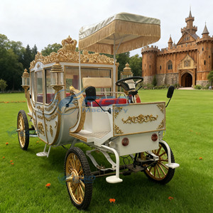 Charrette royale électrique de tourisme Xuchang, élégante et de haute qualité, en acier, type chariot à chevaux - Product Image 5