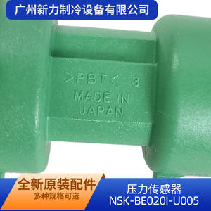 Sensor de Presión NSK BE020i U005 Tipo Manómetro con Montaje Roscado y Tecnología Piezoresistiva - Product Image 3