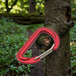 Alüminyum alaşım d-şekil çelik özel karabina ışık kamp balıkçılık yürüyüş ve madencilik anodize bitirmek için eleştirel beğeni topladı - Product Image 3