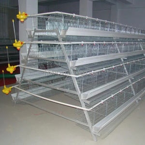 Cage à poules de type A à vendre, élevage avicole, cage à 3 ou 4 niveaux, cage à poules pondeuses pour utilisation à la ferme, cage à poules pondeuses - Product Image 4