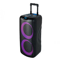 Altavoces de Fiesta Dobles de 8 Pulgadas y 1000w con Micrófono, Karaoke Activo para Exteriores, Altavoz Portátil con Luz LED