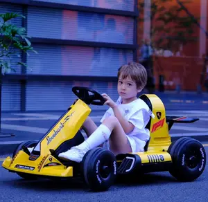 Hot Sale Cheap Go cart Electric Karting Cars Race Go Kart Ride on Car for Child Youth Adult