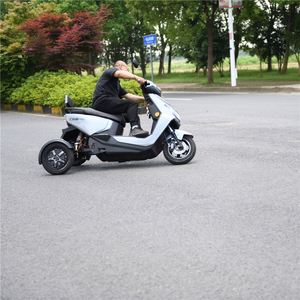 Triciclo eléctrico EEC de doble motor con neumático de grasa corporal abierto de 60V para personas dobles - Product Image 5