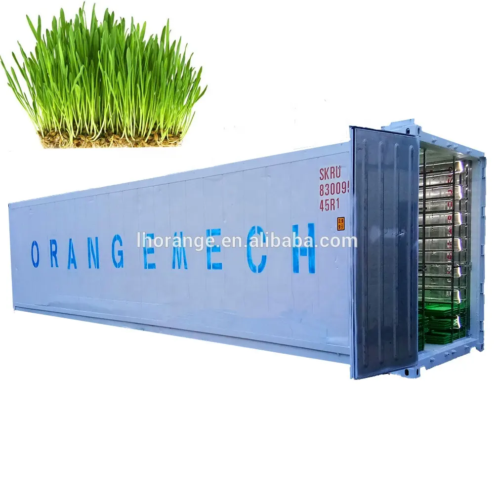 40HQ Container 1500Kg/Day Fodder Hydroponic System For Barly Growing