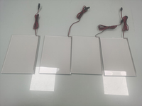 Panneau lumineux LED à éclairage périphérique, forme personnalisée, IP65, pour extérieur, industriel, à intensité variable, pour l'éclairage des vitrines d'exposition de musées