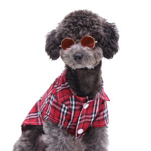Pet <b>Sunglasses</b> For Dogs And Cats Multi Color <b>Round</b> Lens Metal <b>Frame</b> Small Medium Size Pets Fashion Sun Protection Accessory - Product Image 4