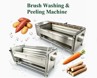 Machine automatique de nettoyage de patates douces, machine à éliminer les résidus de gingembre, brosse à éplucher les pommes de terre